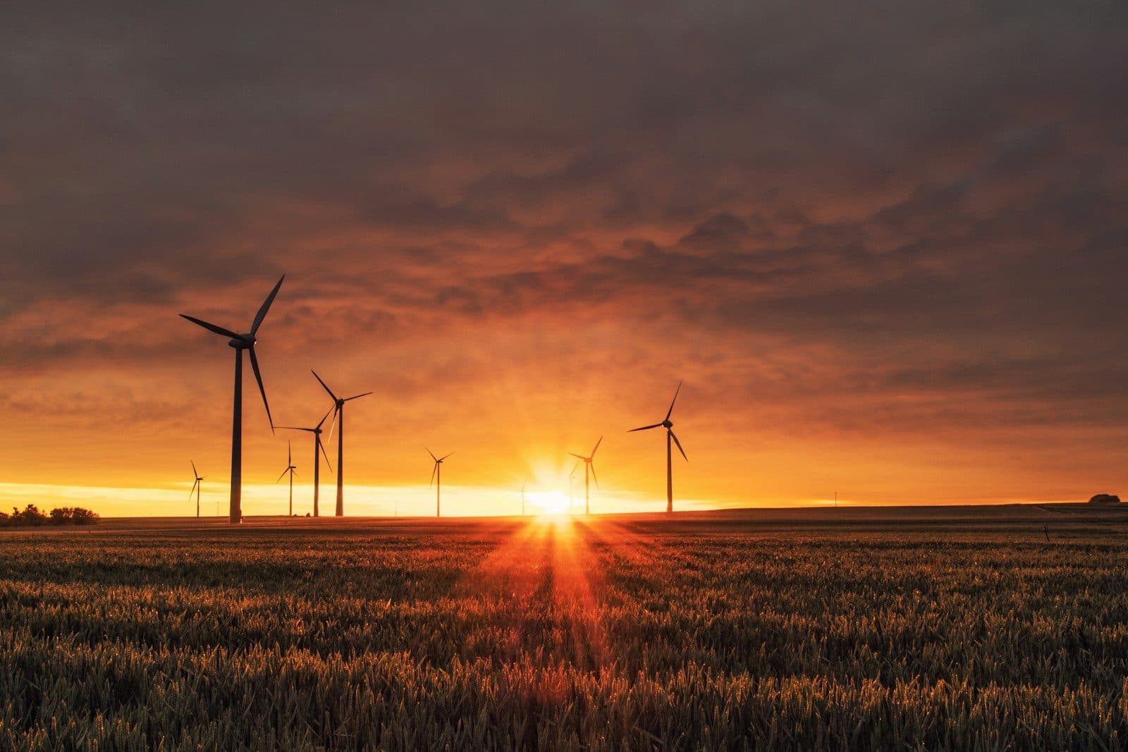 Windpark im Abendlicht